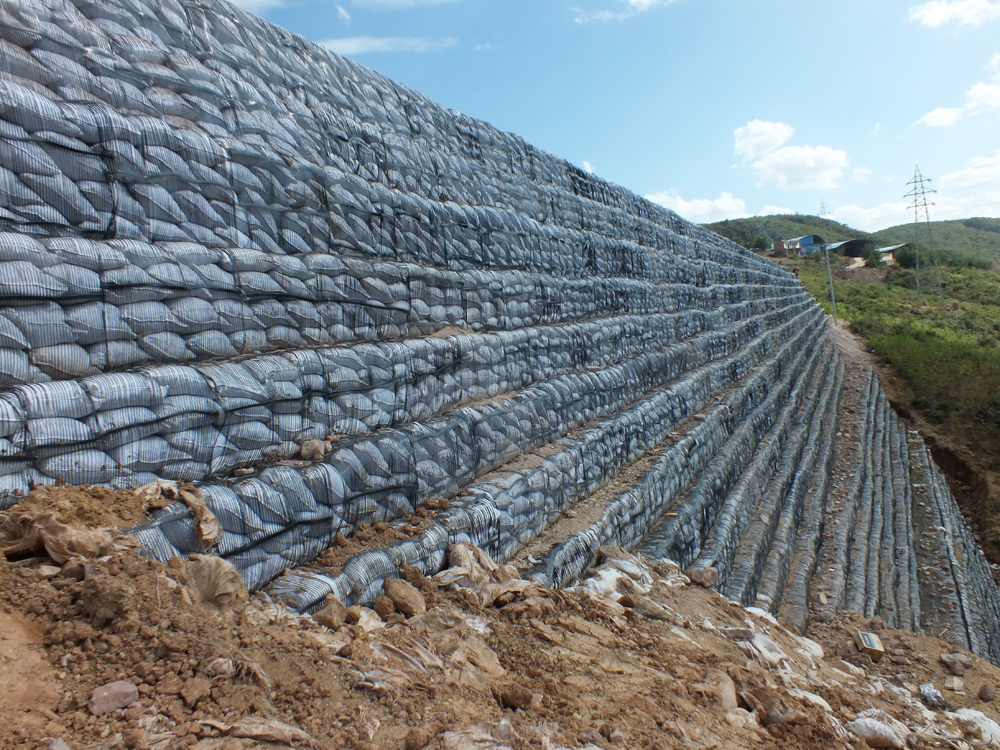 亚洲色欲色欲WWW在线丝