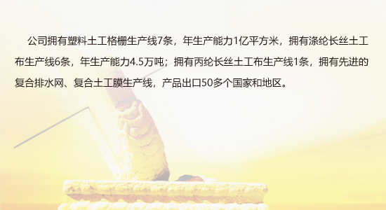 亚洲色欲色欲WWW在线丝