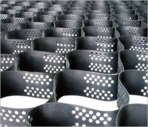 亚洲色欲色欲WWW在线丝