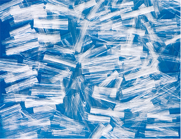 亚洲色欲色欲WWW在线丝